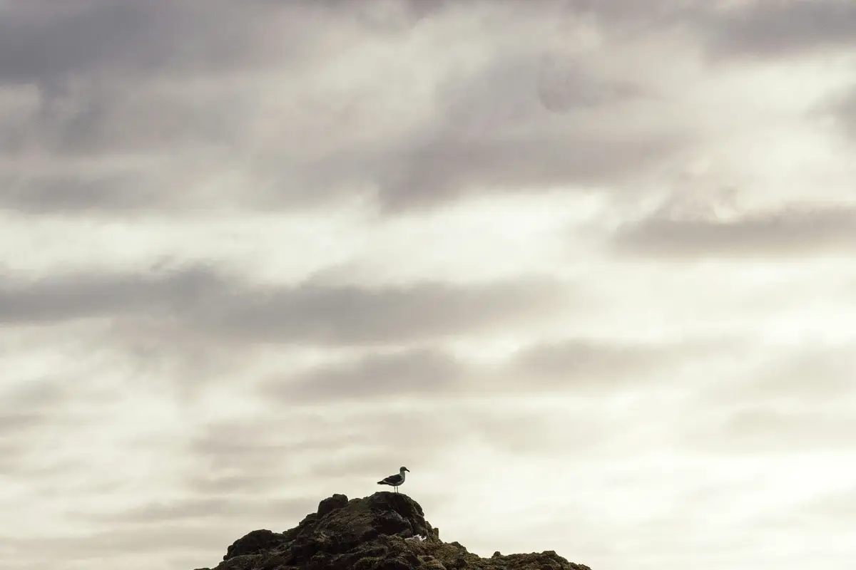 Mierzenie efektów, a nie nastrojów